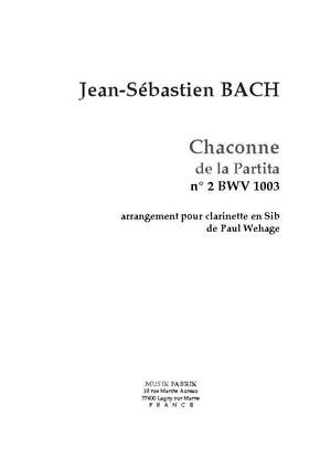 J.S. Bach: Chaconne from Partita II (vln) BWV 1003