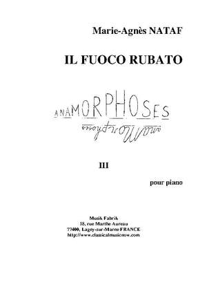 M.A. Nataf: Il Fuoco Rubato Anamorphoses III