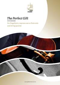 Stef Minnebo: The Perfect Gift
