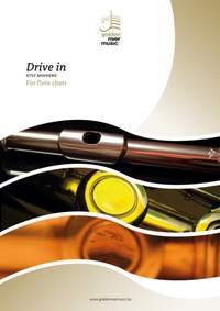 Stef Minnebo: Drive in
