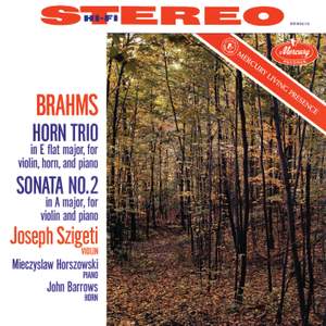 Brahms: Horn Trio; Violin Sonata No. 2