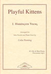 J Harrington Young: Playful Kittens