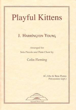 J Harrington Young: Playful Kittens