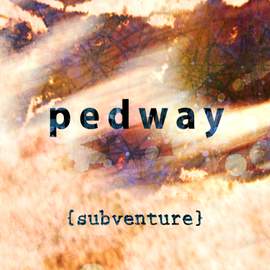 Subventure