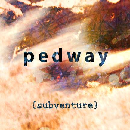 Subventure