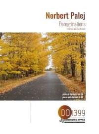 Norbert Palej: Peregrinations