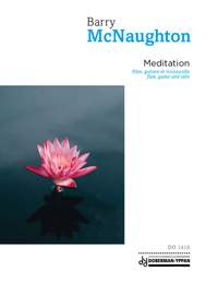 Barry McNaughton: Meditation