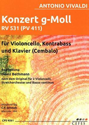 Vivaldi, A: Konzert g-moll RV 531 (PV 411)
