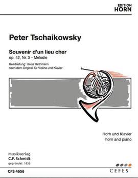 Tchaikovsky, P I: Souvenir d'un lieu cher