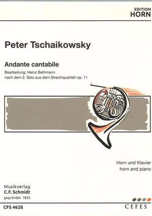 Tchaikovsky, P I: Andante cantabile