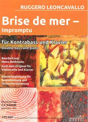 Leoncavallo, R: Brise du Mer - Impromtu