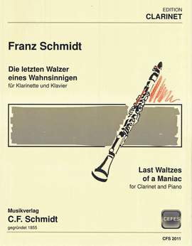 Schmidt, F: Die letzten Walzer eines Wahnsinnigen