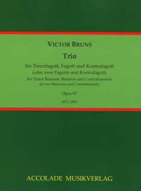 Bruns, V: Trio op. 97