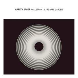 Maelstrom in the Bare Garden