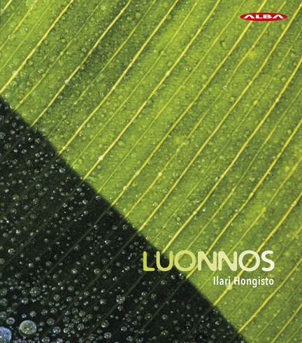 Luonnos