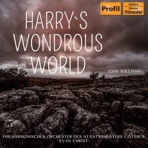 Harry`s Wondrous World (Der Stein der Weisen)