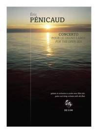 Éric Pénicaud: Concerto Pour Le Grand Large