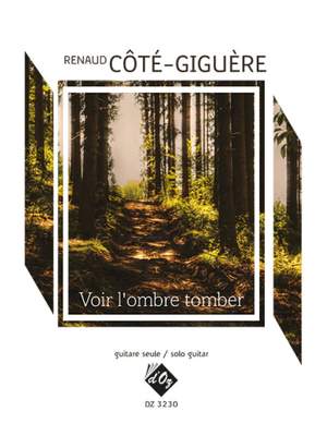 Renaud Côté-Giguère: Voir L'Ombre Tomber