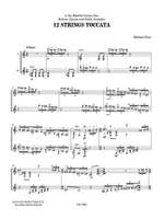 Michael Erni: 12 Strings Toccata Product Image