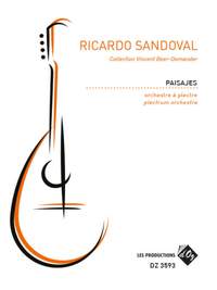 Ricardo Sandoval: Paisajes