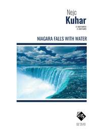 Nejc Kuhar: Niagara Falls With Water