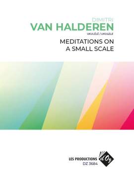 Dimitri van Halderen: Meditations On A Small Scale