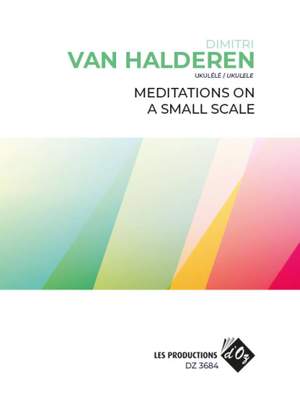 Dimitri van Halderen: Meditations On A Small Scale