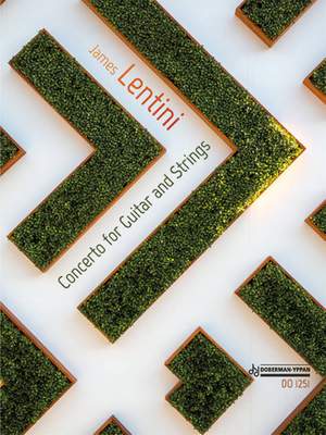 James Lentini: Concerto For Guitar And Strings