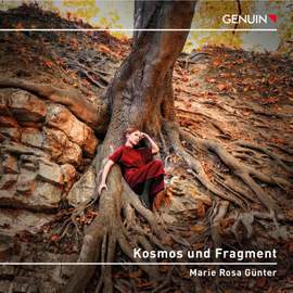 Kosmos und Fragment