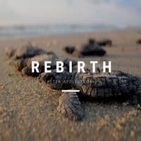 Rebirth