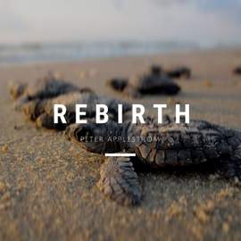 Rebirth