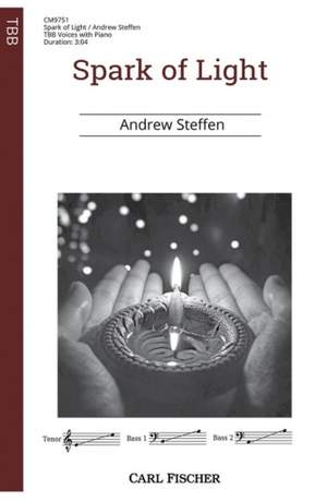 Steffen, A: Spark of Light