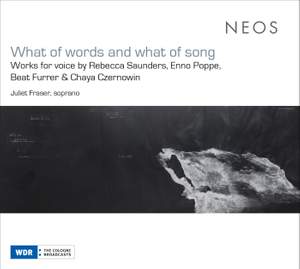 What of Words and What of Song