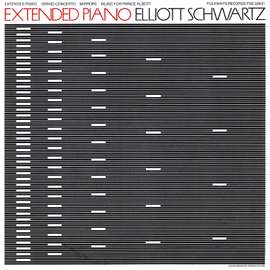Extended Piano