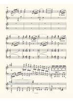 Liszt, Franz: Works & Arrangements piano duet/2 piano Product Image