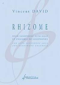 Vincent David: Rhizome