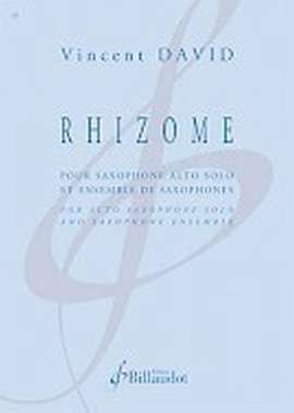 Vincent David: Rhizome