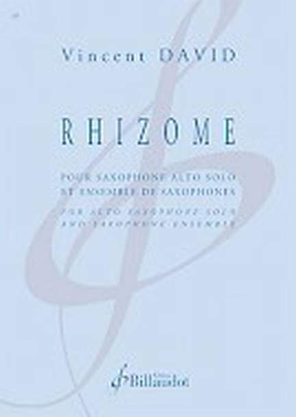 Vincent David: Rhizome