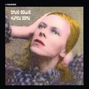 Hunky Dory