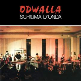 Schiuma d'onda
