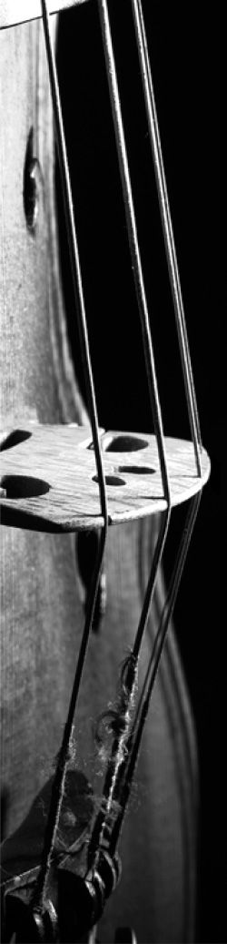 Violin Bookmark