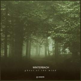 Ghost Of The Wind
