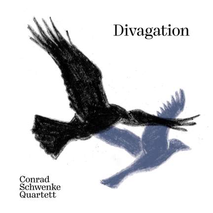 Divagation