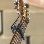 Kyser Capo Acoustic Abalone Product Image