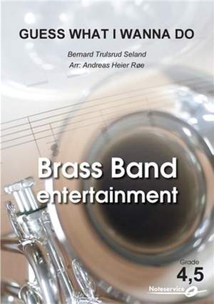 Bernard Trulsrud Seland: Guess What I Wanna Do