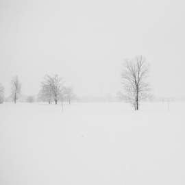 The First Snow