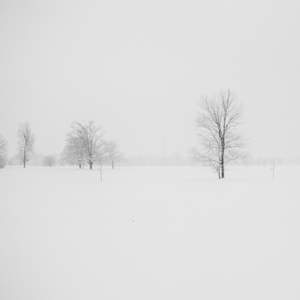 The First Snow
