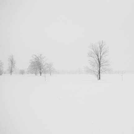The First Snow
