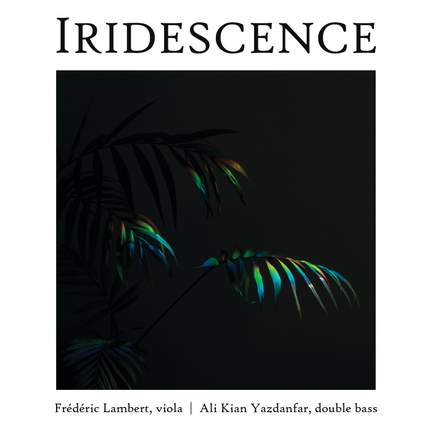 Iridescence