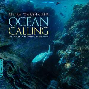 Ocean Calling: Waves and Currents